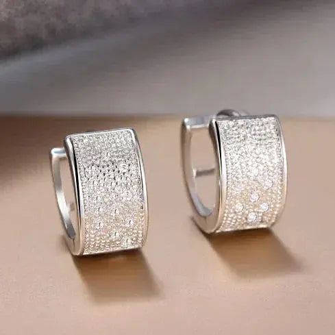 Elegant, shiny silver earrings 0